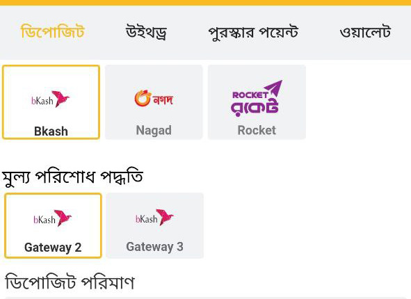 betvisa bd com অ্যাপ betvisa বিডি অ্যাপের জন্য পেমেন্ট বিকল্প কিভাবে বাংলাদেশে betvisa এ ডিপোজিট করবেন  ধাপ 3