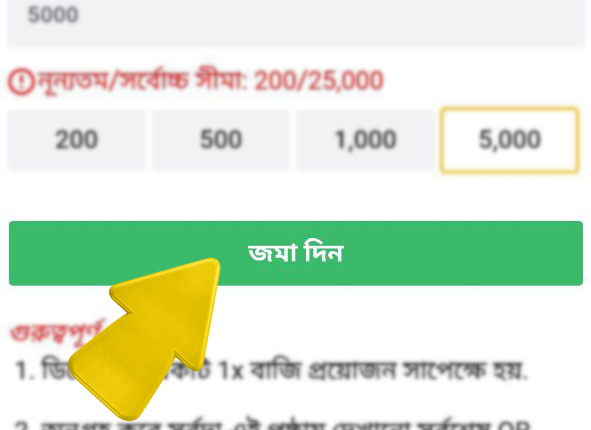 betvisa bd com অ্যাপ betvisa বিডি অ্যাপের জন্য পেমেন্ট বিকল্প কিভাবে বাংলাদেশে betvisa এ ডিপোজিট করবেন  ধাপ 5