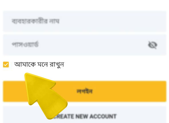 betvisa bd com betvisa কিভাবে betvisa এ লগইন করবেন ধাপ 5